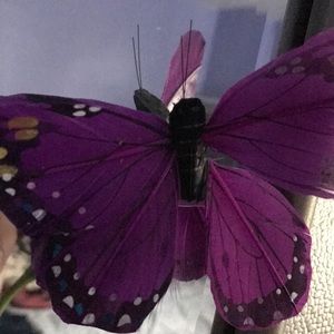 Meet your Posher, Dilia